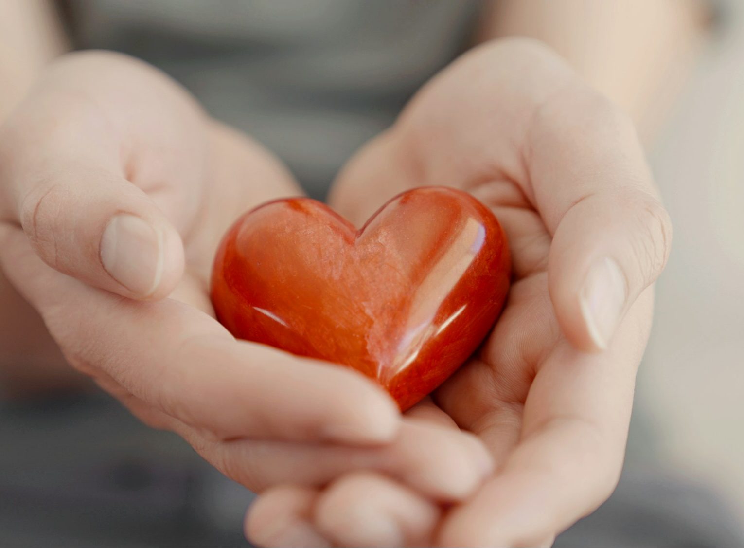 Hands holding red heart, heart health insurance, happy charity volunteer
